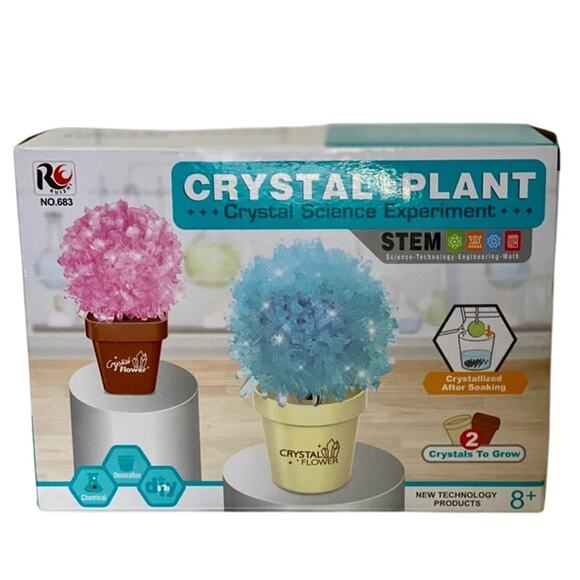 STEM Crystal Plant Science Experiment - Picture 1 of 2